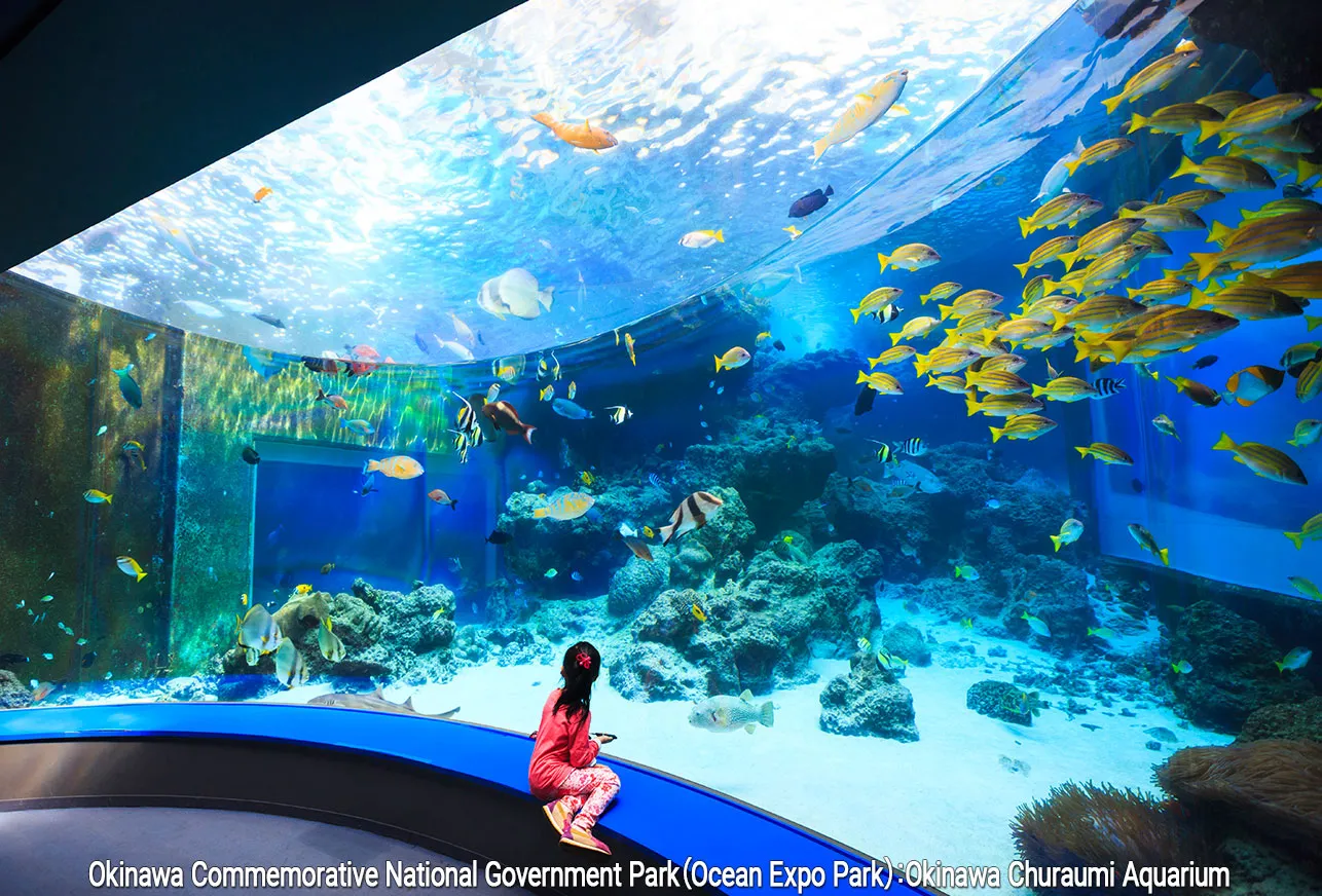a young girl in front of a tank full of tropical fish
